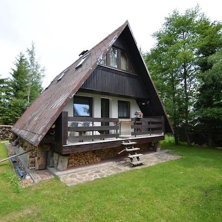 Nice Holiday Home In The Ore Mountains Only 500M From The Chairlift Loučná pod Klínovcem Eksteriør billede