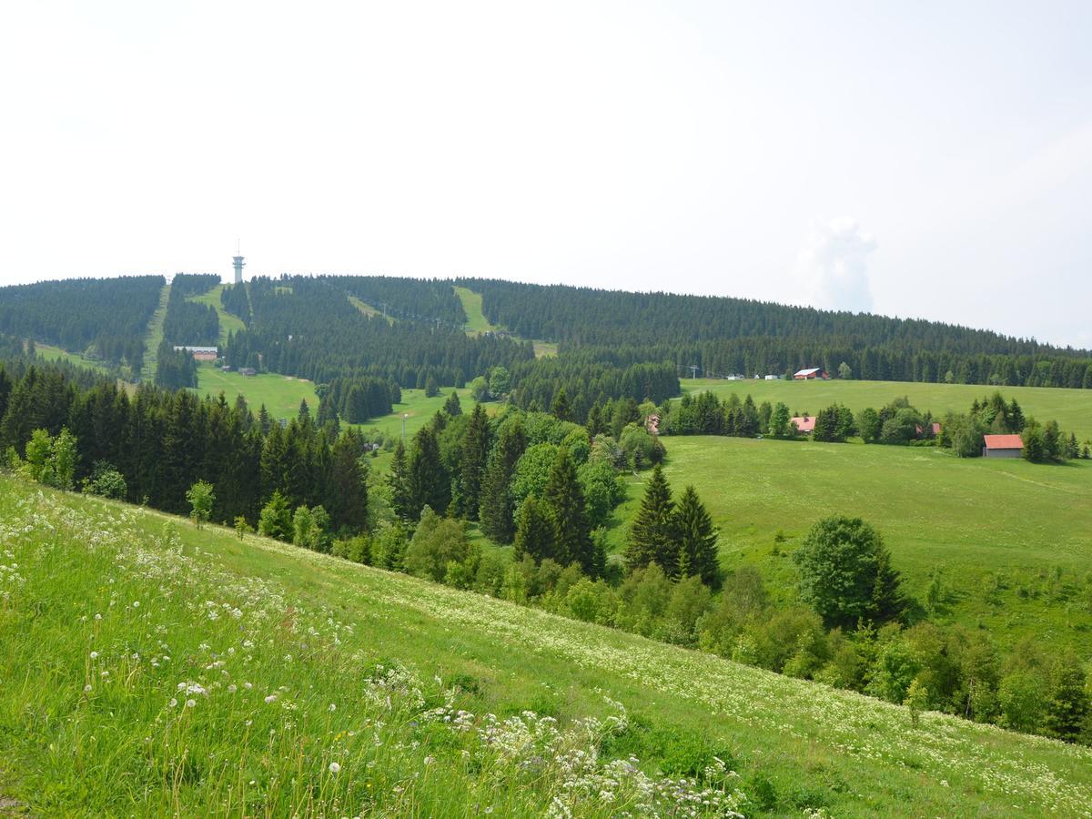 Nice Holiday Home In The Ore Mountains Only 500M From The Chairlift Loučná pod Klínovcem Eksteriør billede